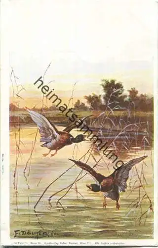 Jagd - Wildenten - signiert E. Döcker jun. - Künstleransichtskarte ca. 1900