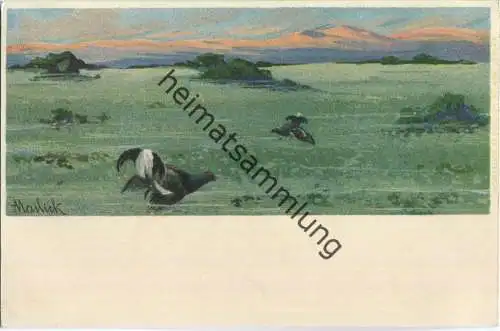 Jagd - Auerhahn - Alfred Mailick - Künstleransichtskarte ca. 1900