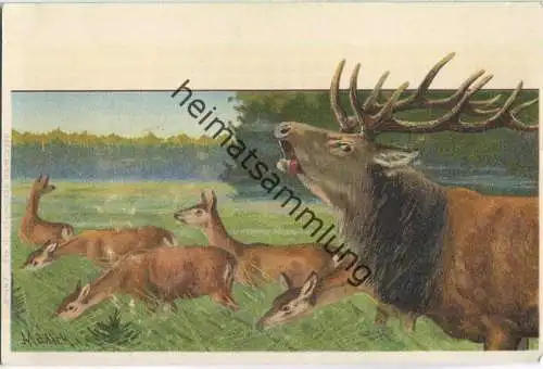 Jagd - Hirsche - Alfred Mailick - Künstleransichtskarte ca. 1900