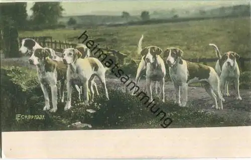 Jagd - Jagdhunde - Künstleransichtskarte ca. 1900
