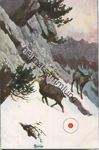 Jagd - Gemsen - Achleitner - Künstleransichtskarte ca. 1900