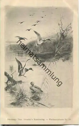 Jagd - Waidmannskarte Nr. 19 - Künstleransichtskarte ca. 1900 - Theo Stroefer's Kunstverlag Nürnberg