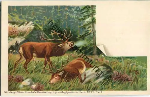 Jagd - Aquar.-Jagdpostkarte Serie XXVI No. 3 - Künstleransichtskarte ca. 1900 - Theo Stroefer's Kunstverlag Nürnberg