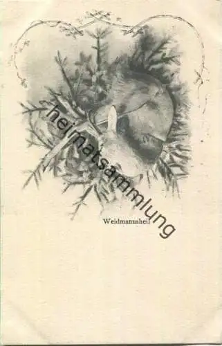 Jagd - Waidmannsheil - Wild - Künstleransichtskarte ca. 1900