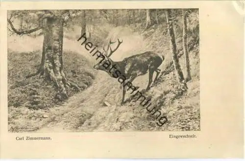 Jagd - Carl Zimmermann - Eingewechselt - Künstleransichtskarte ca. 1900