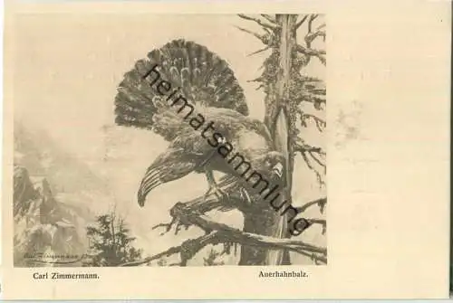 Jagd - Carl Zimmermann - Auerhahnbalz - Künstleransichtskarte ca. 1900