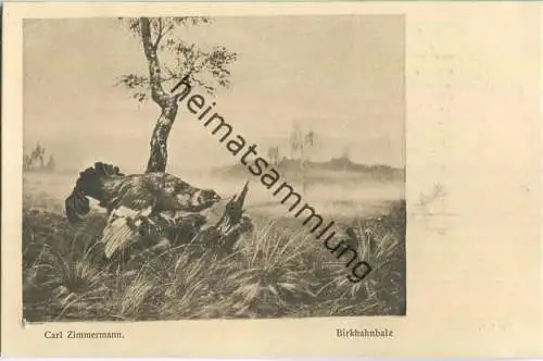 Jagd - Carl Zimmermann - Birkhahnbalz - Künstleransichtskarte ca. 1900