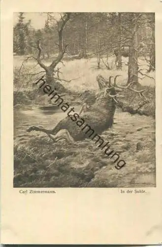 Jagd - Carl Zimmermann - In der Suhle - Künstleransichtskarte ca. 1900