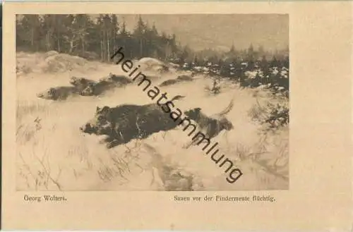 Jagd - Georg Wolters - Sauen vor der Findermeute flüchtig - Künstleransichtskarte ca. 1900