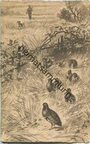 Jagd - Rebhühner - Künstlerkarte ca. 1900