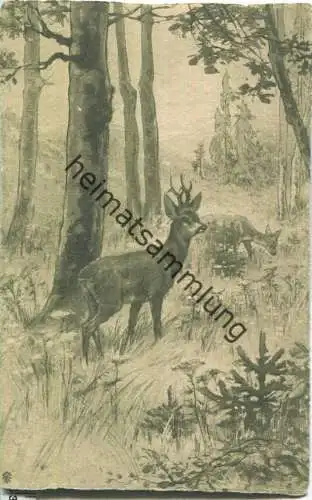 Jagd - Damwild - Künstlerkarte ca. 1900