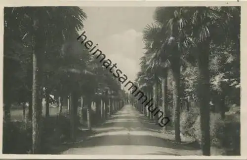 Lago di Garda - Riva - Via e Hotel Lido