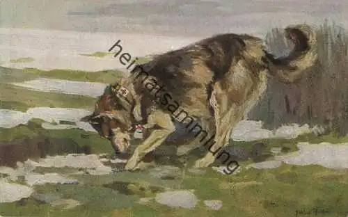 Wohlfahrts-Postkarte - Nr. 7 ... auf der Spur eines Verwundeten - Der Sanitätshund im Felde - Verlag G. Stalling Oldenbu