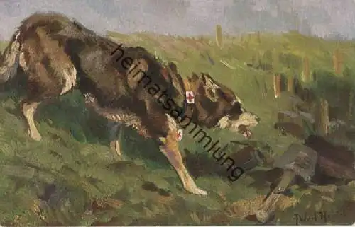 Wohlfahrts-Postkarte - Nr. 8 ... auf der Suche nach Verwundeten - Der Sanitätshund im Felde - Verlag G. Stalling Oldenbu