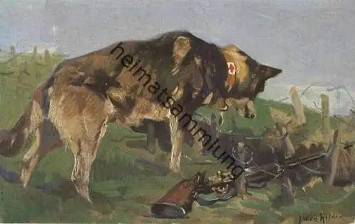 Wohlfahrts-Postkarte - Nr. 9 ... entdeckt in einer Wolfsgrube einen Verwundeten - Der Sanitätshund im Felde - Verlag G.