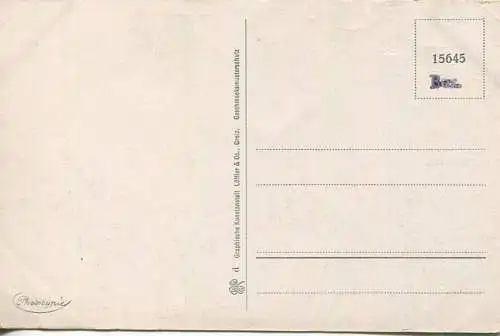 Treuen - Bahnhofsstrasse - Marktplatz - Bismarckplatz - Verlag Graphische Kunstanstalt Löffler & Co Greiz