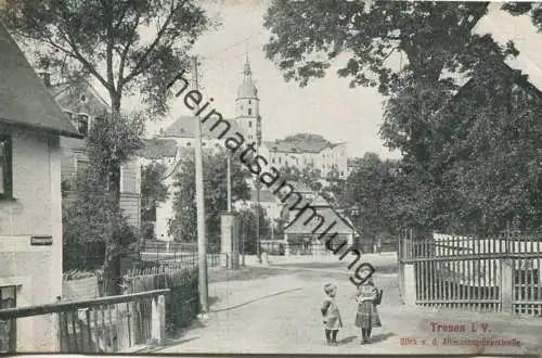 Treuen - Blick von der Altmannsgrünerstrasse - Verlag Hofkunstanstalt Löffler & Co Greiz