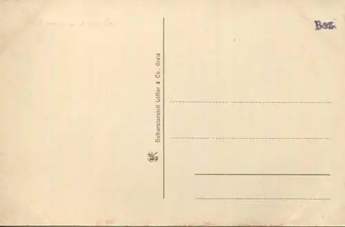 Treuen - äussere Lengenfelderstrasse - Verlag Hofkunstanstalt Löffler & Co Greiz