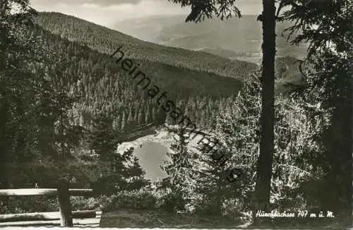 Huzenbach - Huzenbachsee - Foto-AK - Verlag A. Hermann & Co. Stuttgart