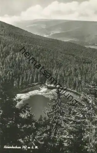 Huzenbach - Huzenbachsee - Foto-AK - Verlag A. Hermann & Co. Stuttgart