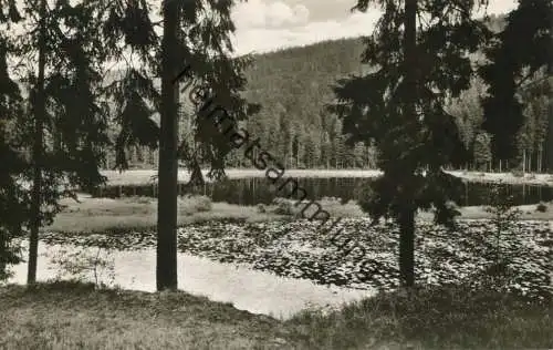 Huzenbach - Huzenbachersee - Foto-AK - Verlag Schöning & Co. Lübeck