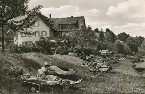 Huzenbach - Privat-Pension Zur Krone - Besitzer G. u. R. Sackmann - Liegewiese - Foto-AK - Verlag A. Hermann & Co. Stutt