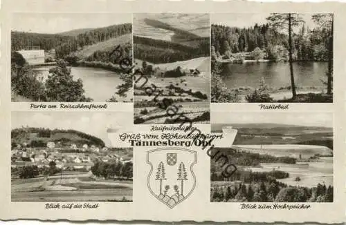 Tännesberg - Foto-AK 60er Jahre - Verlag Kaufhaus Karl Grötsch Tännesberg