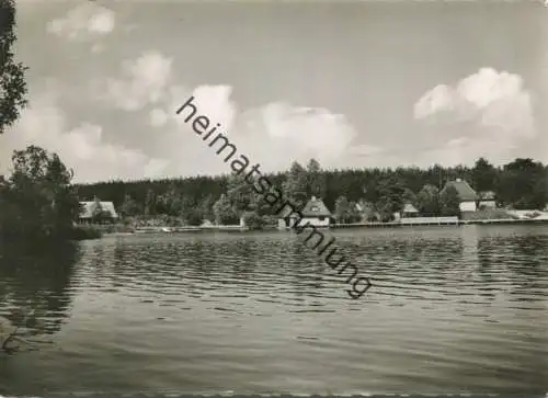 Güster - Fischerei am Prüss-See - Foto-AK Grossformat gel. 1960