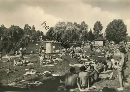 Fraureuth - Schwimmbad - Foto-AK Grossformat 60er Jahre - Verlag Erhard Neubert KG Karl-Marx-Stadt