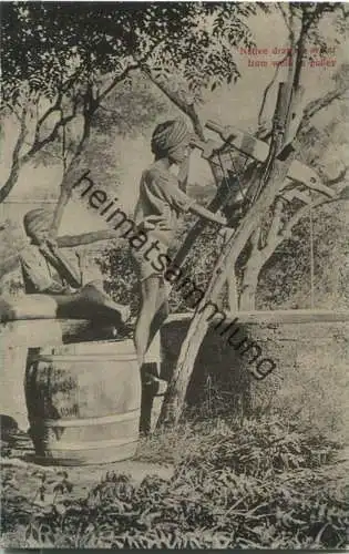 India - Native drawing water from well on pulley