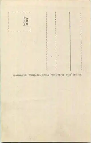 Halberstadt - Rathaus - Roland - Verlag Otto Diederichs Halberstadt