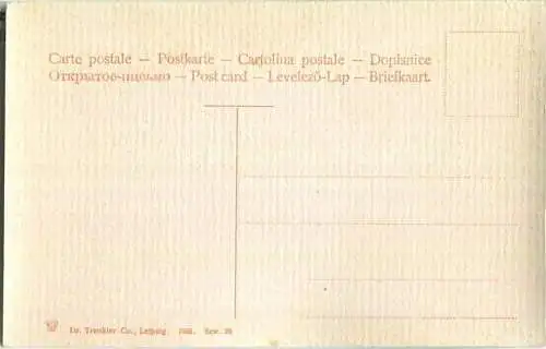 Höllensteig - Hotel Sternen - Ravennaviadukt - Verlag Dr. Trenkler & Co Leipzig 1905