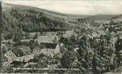 Bienenmühle - Rechenberg - Foto-Ansichtskarte