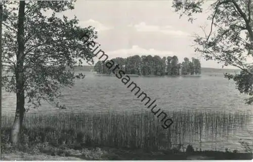 Bad Saarow - Am Großen Werl - Foto-Ansichtskarte