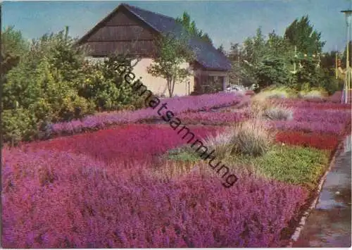 Erfurt - Internationale Gartenbauausstellung - Erikenschau an der Milchbar