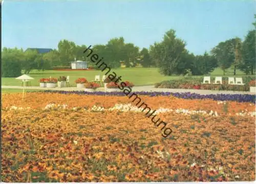 Erfurt - Internationale Gartenbauausstellung - Sommerblumenwiese