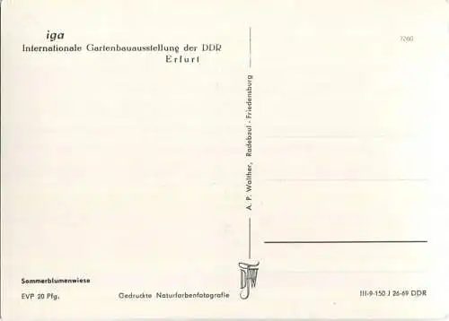 Erfurt - Internationale Gartenbauausstellung - Sommerblumenwiese