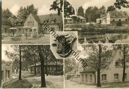 Dübener Heide - Ferienheim Ochsenkopf - Foto-Ansichtskarte