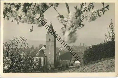Hagnau am Bodensee - Katholische Pfarrkirche - Foto-Ansichtskarte