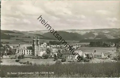 St. Peter - Gesamtansicht - Foto-Ansichtskarte