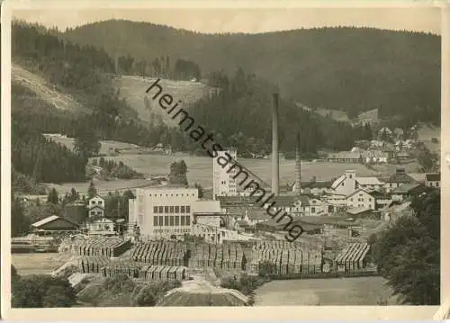 Neustadt - Holzzellstoff- und Papierfabrik Max Egon Fürst zu Fürstenberg - Foto-Ansichtskarte
