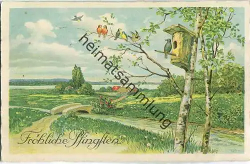 Fröhliche Pfingsten - Vögel - Birken