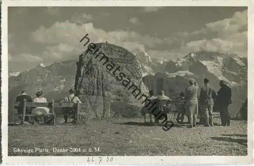 Schynige Platte - Daube - Foto-Ansichtskarte ca. 1930 - Verlag A. Ryffel Zürich