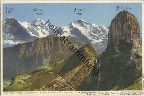 Schynige Platte - Gummihorn - Eiger Mönch Jungfrau - Photo G. D Aquanno