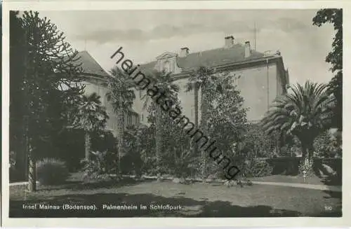 Insel Mainau - Palmenheim im Schlosspark - Foto-Ansichtskarte 30er Jahre - Verlag Emil Hartmann Mannheim