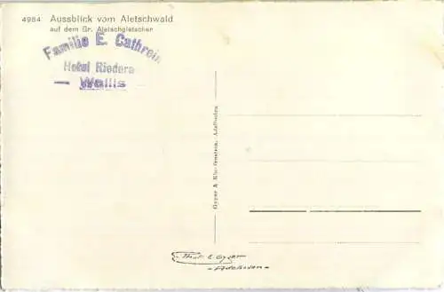 Aletschgletscher - Blick vom Aletschwald - Foto-Postkarte
