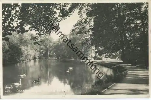 Donaueschingen - Park - Foto-Ansichtskarte