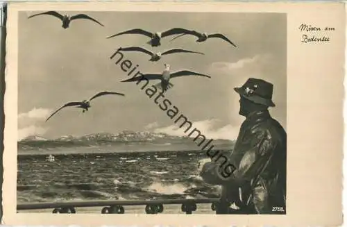 Bodensee - Möwen - Foto-Ansichtskarte