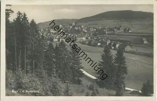 Neustadt - Blick von der Bockhalde - Foto-Ansichtskarte