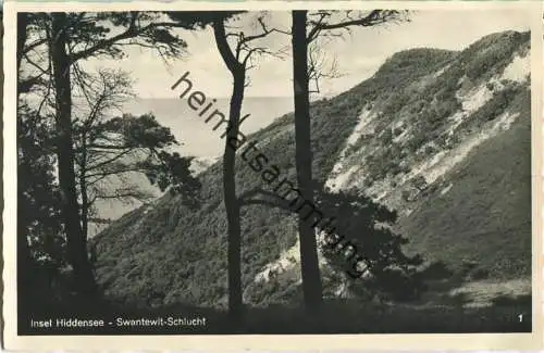 Insel Hiddensee - Swantewit-Schlucht - Foto-Ansichtskarte